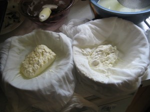 fromage blanc after draining